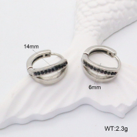 GEE002195abol-241  316 SS  Stainless Steel Earrings