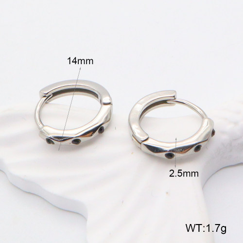 GEE002197abol-241  316 SS  Stainless Steel Earrings