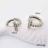 GEE002199abol-241  316 SS  Stainless Steel Earrings