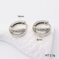 GEE002202abol-241  316 SS  Stainless Steel Earrings