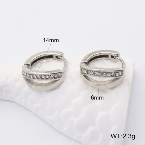 GEE002202abol-241  316 SS  Stainless Steel Earrings