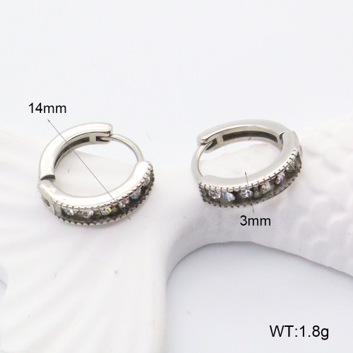 GEE002203abol-241  316 SS  Stainless Steel Earrings