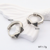 GEE002207abol-241  316 SS  Stainless Steel Earrings