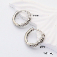 GEE002209bbov-241  316 SS  Stainless Steel Earrings