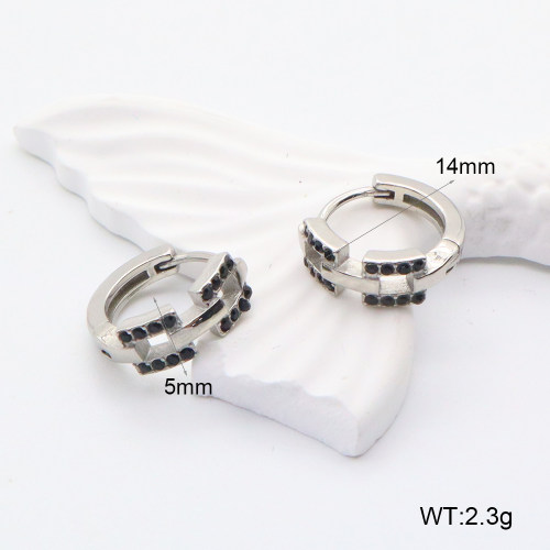 GEE002210abol-241  316 SS  Stainless Steel Earrings