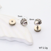 GEE002229vbmb-241  316 SS  Stainless Steel Earrings