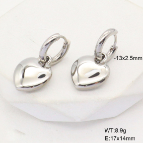 6E2006763bbov-908  Stainless Steel Earrings