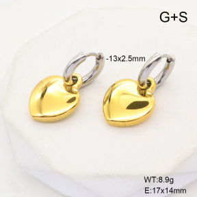 6E2006764vbpb-908  Stainless Steel Earrings