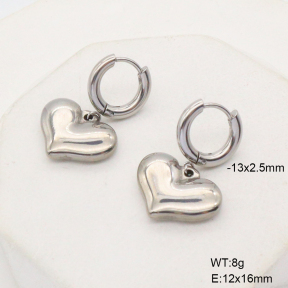 6E2006766vbnl-908  Stainless Steel Earrings