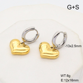 6E2006767abol-908  Stainless Steel Earrings