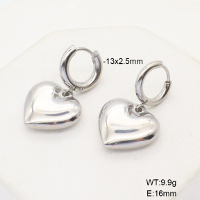 6E2006772bbov-908  Stainless Steel Earrings