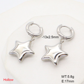 6E2006775bhva-908  Stainless Steel Earrings