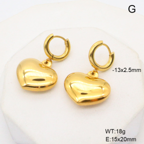 6E2006777bhva-908  Stainless Steel Earrings