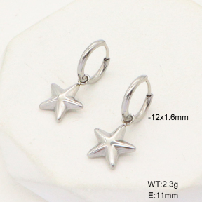 6E2006782vbnb-908  Stainless Steel Earrings