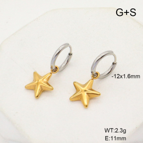 6E2006783vbnl-908  Stainless Steel Earrings