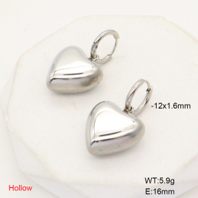 6E2006785bhva-908  Stainless Steel Earrings