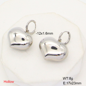 6E2006788bhia-908  Stainless Steel Earrings