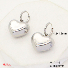 6E2006791bhva-908  Stainless Steel Earrings