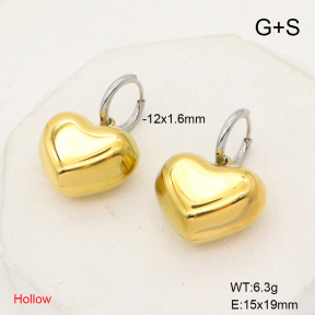 6E2006792vhha-908  Stainless Steel Earrings