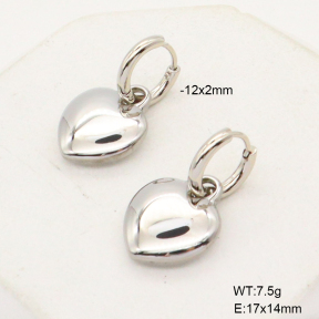 6E2006794bbov-908  Stainless Steel Earrings