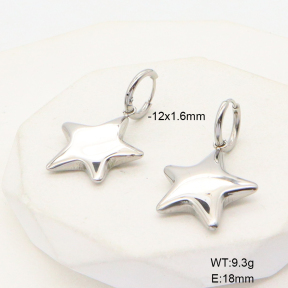 6E2006797vbnb-908  Stainless Steel Earrings