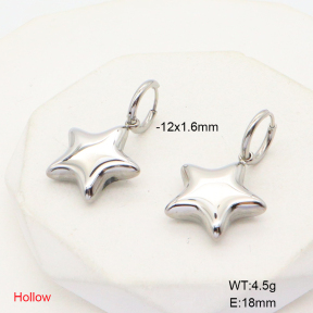 6E2006800bhva-908  Stainless Steel Earrings