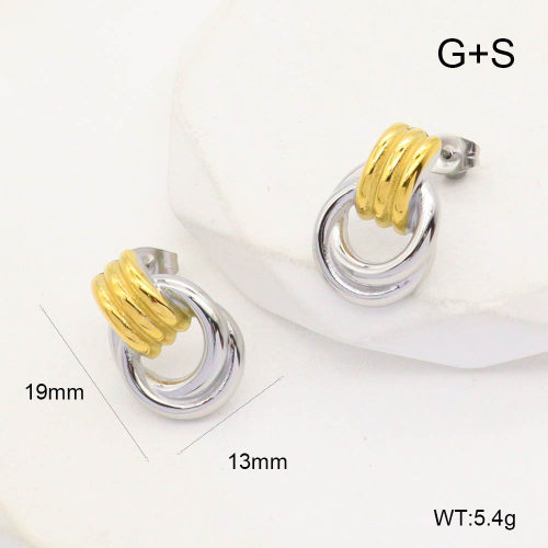 GEE002182vbpb-066  Handmade Polished  Stainless Steel Earrings