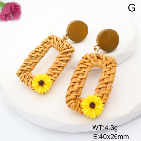 F6E301861vbnl-K11  Fashion Earrings