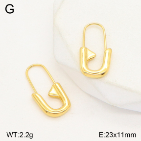 2E2004987vbmb-722  Stainless Steel Earrings