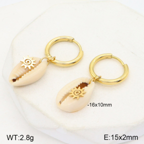 2E3002815bhia-722  Stainless Steel Earrings