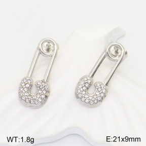 2E4003909ablb-722  Stainless Steel Earrings