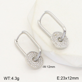 2E4003910vbnb-722  Stainless Steel Earrings