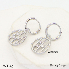 2E4003912vbnb-722  Stainless Steel Earrings