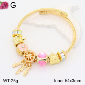 F2BA40818bhva-J39  Fashion Bangle