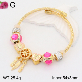 F2BA40823bhva-J39  Fashion Bangle