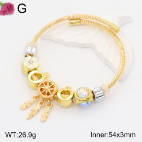 F2BA40825bhva-J39  Fashion Bangle