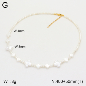 2N3002081vbnb-393  Stainless Steel Necklace