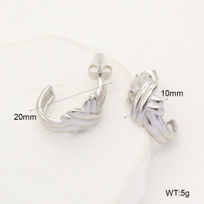 GEE002271vbpb-066  Handmade Polished  Stainless Steel Earrings