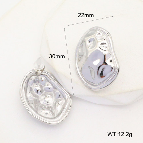 GEE002281vbpb-066  Handmade Polished  Stainless Steel Earrings