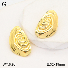 2E2005010aajl-355  Stainless Steel Earrings