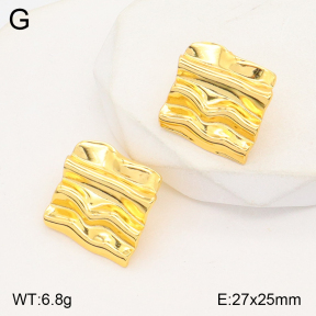 2E2005012aajl-355  Stainless Steel Earrings