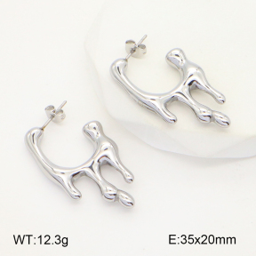 2E2005089ablb-436  Stainless Steel Earrings