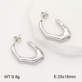 2E2005091baka-436  Stainless Steel Earrings