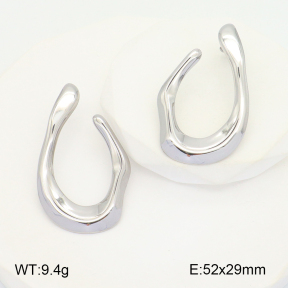 2E2005097ablb-436  Stainless Steel Earrings