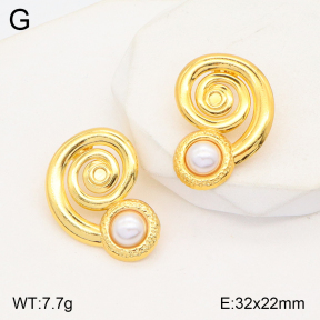 2E3002820aajo-446  Stainless Steel Earrings