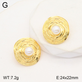 2E3002832aajo-446  Stainless Steel Earrings