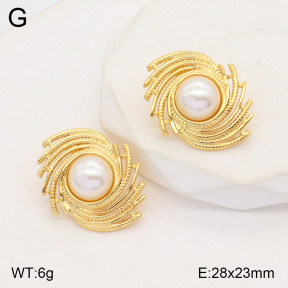 2E3002842aajo-446  Stainless Steel Earrings