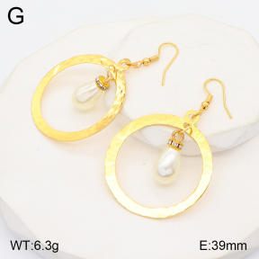 2E3002844aajl-446  Stainless Steel Earrings