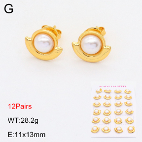 2E3002851aklm-446  Stainless Steel Earrings