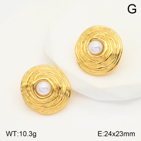 2E3002860aajl-312  Stainless Steel Earrings